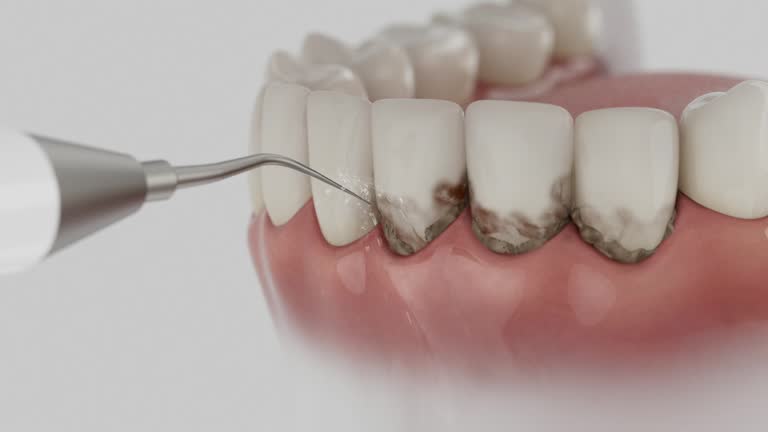 Reliable Dental contractor in Evans City, PA by Dentist Open Now